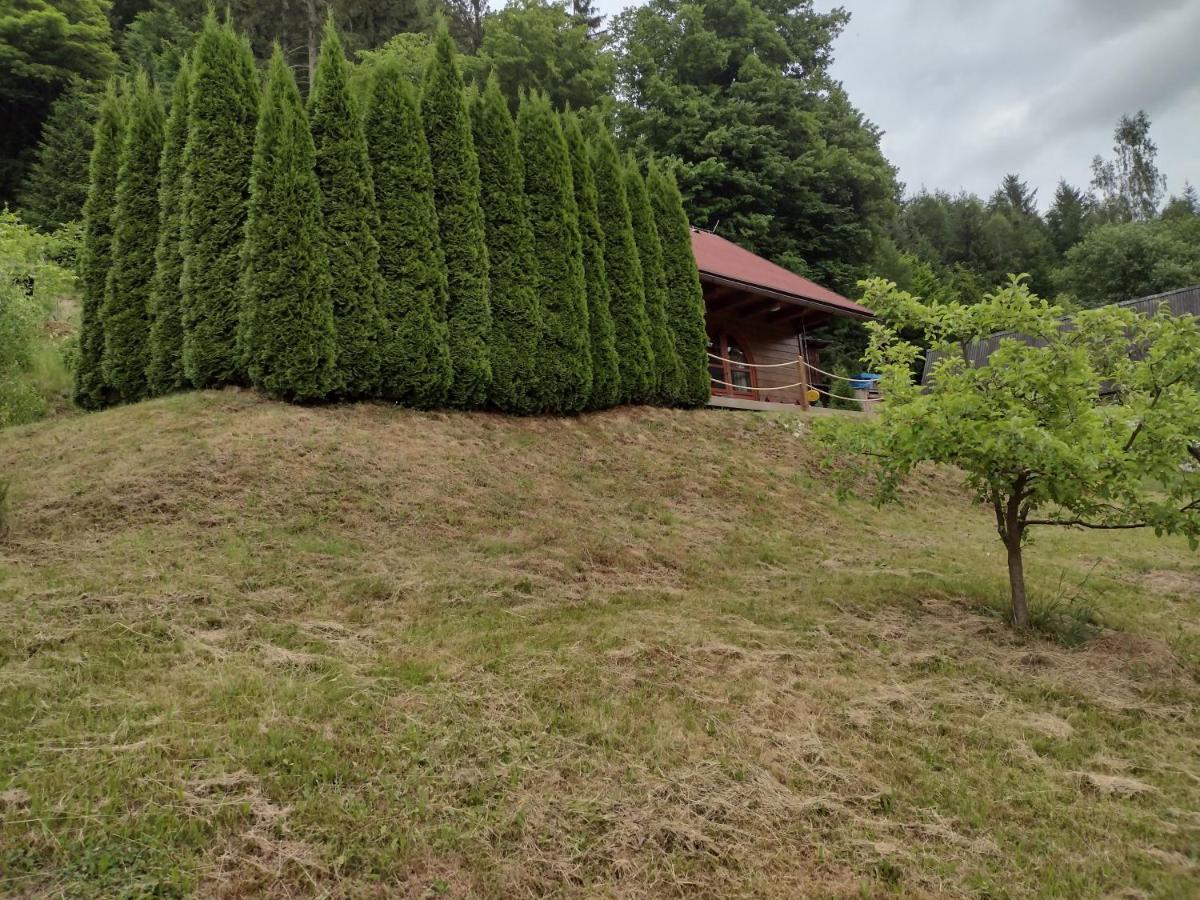 Chata Dvirka Zelezny Brod Exterior foto