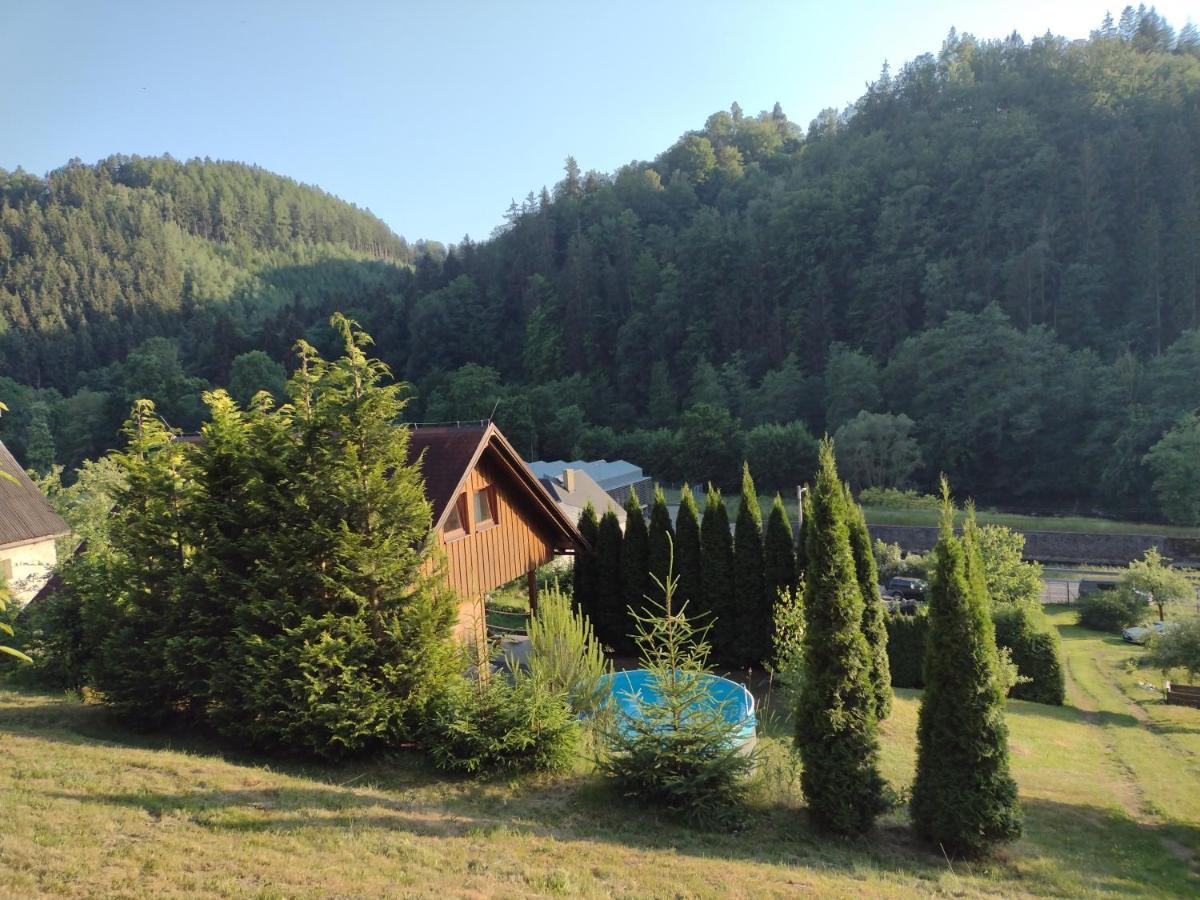 Chata Dvirka Zelezny Brod Exterior foto