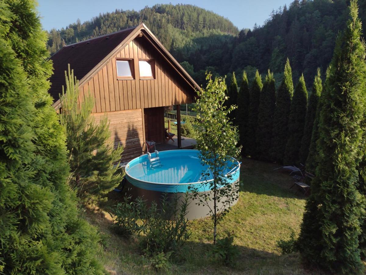 Chata Dvirka Zelezny Brod Exterior foto